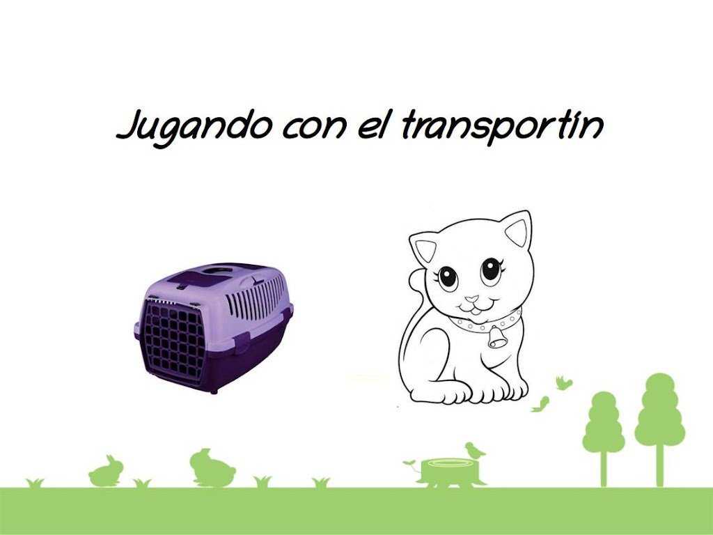 Transportín