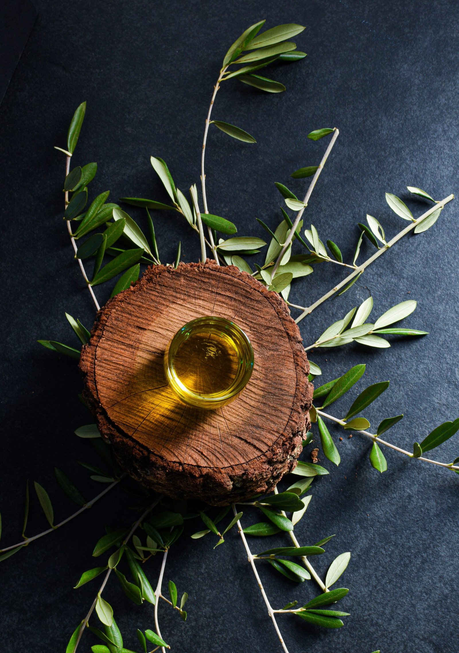 El olivo: un tesoro de la naturaleza